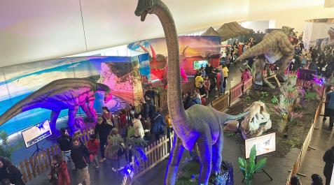 Dinosaurios Público asistente a la apertura de la muestra el Balarte.
