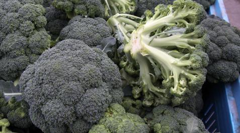 Brócoli en la sección de verduras de un supermercado Brócoli en la sección de verduras de un supermercado