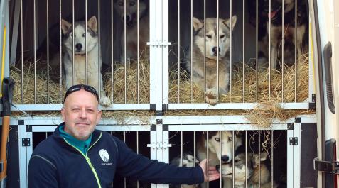 Baltasar Gallardo, este miércoles, con sus doce huskies siberianos momentos antes de partir hacia Suecia Baltasar Gallardo, este miércoles, con sus doce huskies siberianos momentos antes de partir hacia Suecia