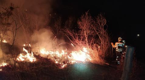 Bomberos de Navarra, en uno de los incendios atendidos este miércoles Bomberos de Navarra, en uno de los incendios atendidos este miércoles