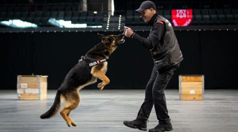 tina perro policia foral Un momento de la exhibición de habilidades de Tina, la perra más veterana del equipo de guías caninos de la Policía Foral