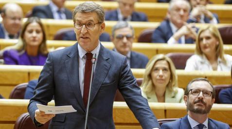 Alberto Núñez Feijóo, este martes en el Senado