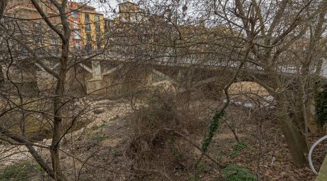 puente Azucarero Imagen de la vegetación que hay en la orilla próxima a la plaza del Azucarero.