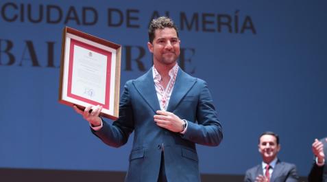 David Bisbal David Bisbal