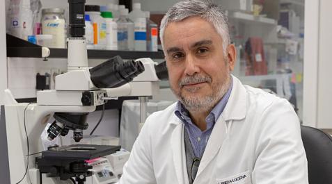 Dr. Antonio Pineda-Lucena, director científico del Cima Universidad de Navarra e investigador del proyecto Dr. Antonio Pineda-Lucena, director científico del Cima Universidad de Navarra e investigador del proyecto