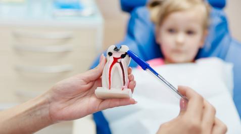 CARIES Algunos de los factores de riesgo asociados a la presencia de caries también contribuyen a enfermar las encías