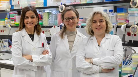 De izquierda a derecha: Begoña López, Susana Ravassa y Arantxa González Miqueo, investigadoras en enfermedades cardiovasculares del Cima Universidad de Navarra De izquierda a derecha: Begoña López, Susana Ravassa y Arantxa González Miqueo, investigadoras en enfermedades cardiovasculares del Cima Universidad de Navarra