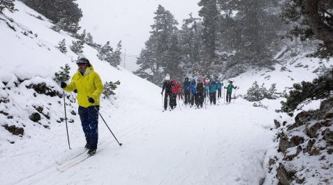 Escolares días atrás en las pistas de La Contienda (Belagua) Escolares días atrás en las pistas de La Contienda (Belagua)