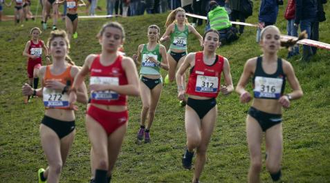 Fotos del campeonato de España de Cross sub-16, sub-18 e inclusivo. Fotos del campeonato de España de Cross sub-16, sub-18 e inclusivo.