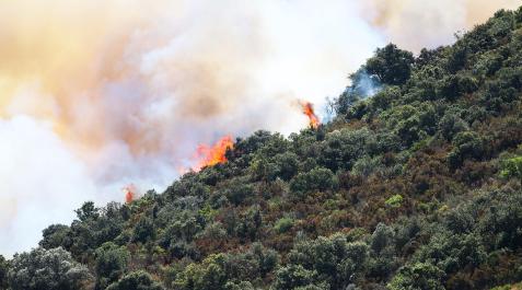 Incendio La proliferaración de bosques y matorrales aumenta el riesgo de incendios. Fuego cerca de Llançà (Girona) en julio de 2021.