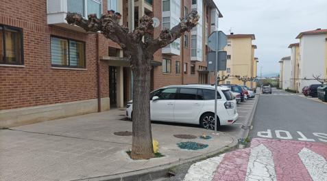 Beriain El autobús ha chocado con su lateral contra este árbol, cerca del colegio.
