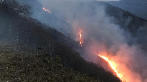 baztan Llamas en el monte Txaruta o Larrazmendi, donde se ha registrado el incendio