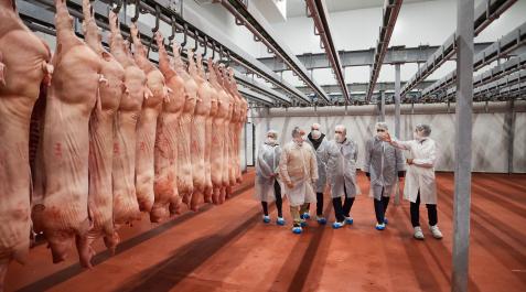 El consejero Aierdi visitó este viernes las nuevas instalaciones de Cárnicas Iruña en Lumbier El consejero Aierdi visitó este viernes las nuevas instalaciones de Cárnicas Iruña en Lumbier