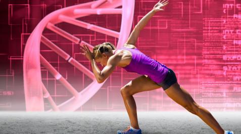DEPORTE-GENETICA Los velocistas o deportistas de potencia suelen tener un mayor porcentaje de fibras musculares de contracción rápida, que les permiten generar potencia explosiva y velocidad