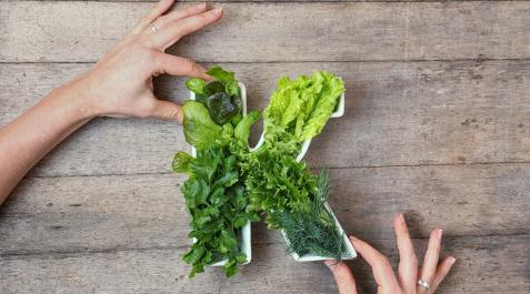 VITAMINA-K Entre las funciones básicas de la vitamina K está que no nos desangremos cuando nos hacemos una herida o que los tejidos se reparen cuando algún agente externo los daña
