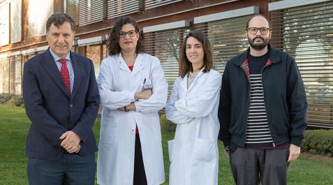 Ignacio Melero, Elixabet Bolaños, Irene Olivera y Álvaro Teijeira, autores del trabajo realizado en el Cima Universidad de Navarra Ignacio Melero, Elixabet Bolaños, Irene Olivera y Álvaro Teijeira, autores del trabajo realizado en el Cima Universidad de Navarra