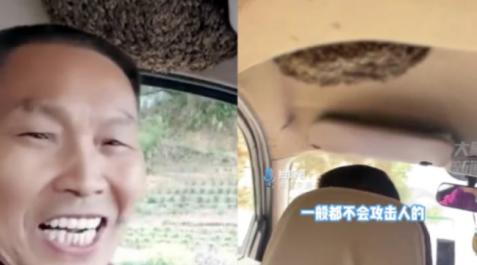 El hombre y las abejas en su vehículo El hombre y las abejas en su vehículo