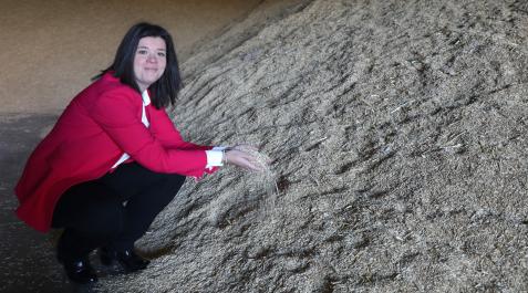 Eather Burgui Itoiz, en la cooperativa cerealista de Egüés, coge con sus manos un montón de avena en el almacén Eather Burgui Itoiz, en la cooperativa cerealista de Egüés, coge con sus manos un montón de avena en el almacén