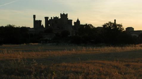 Castillo de Olite Vista crepuscular del Castillo de Olite