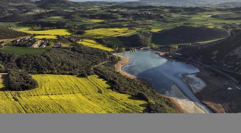 Montxo AG Campos de colza en las cercanías del embalse de Alloz.