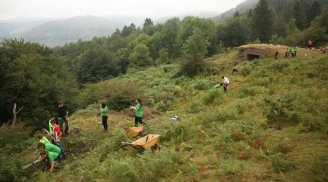 voluntariado voluntariado