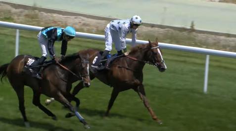 Carreras de caballos
