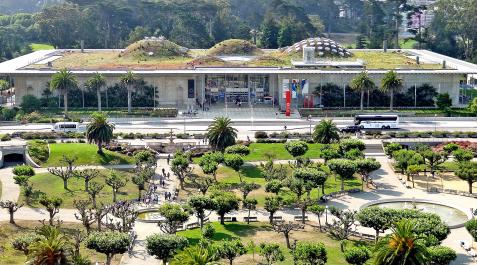 MedioAmbiente Imagen del edificio de la Academia de Ciencias de California. Denis Jarvis/Wikimedia Commons