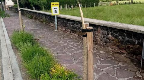 zuhaitza Imagen de uno de los árboles talados en Baztan