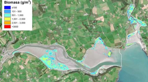 TracasaIrlanda Imagen de uno de los trabajos realizados por Tracasa Global en Irlanda, con la localización, ubicación y cuantificación de la biomasa de las zonas de algas en estuarios de Irlanda