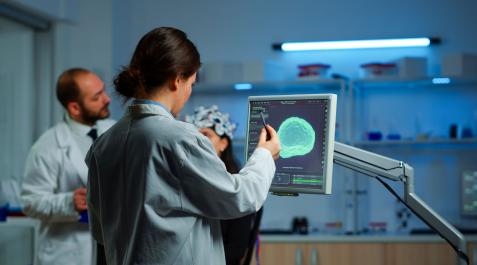 epilepsia-cerebro El 18% de los diagnósticos de epilepsia son falsos positivos