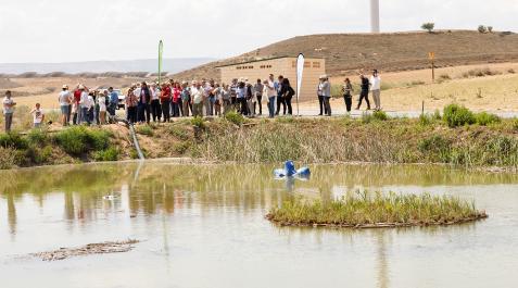 Los asistentes a la presentación del proyecto contemplan la isla vegetativa flotante instalada en una balsa de riego de Trujal Artajo