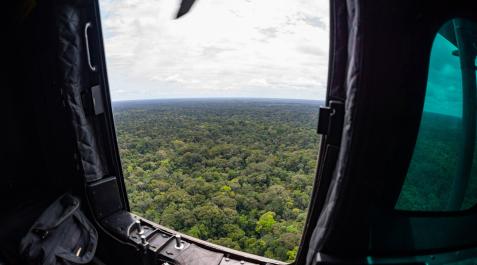 Colombia-ninos-selva-busqueda El Ejército de Colombia asegura estar cerca de los menores desparecidos en la selva a comienzos de mayo, mientras la búsqueda sigue por aire y por tierra