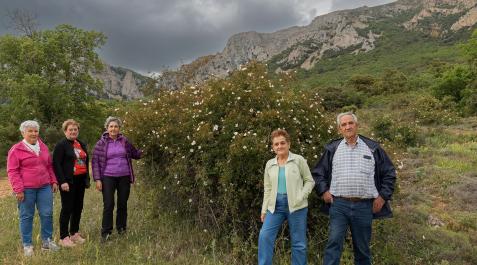 Participantes en el curso sobre flores silvestres, en la sierra de Codés junto a la que viven.