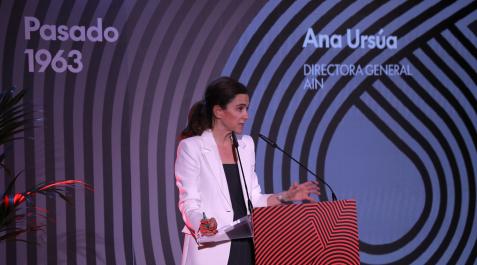 ain La directora general de AIN, Ana Ursúa