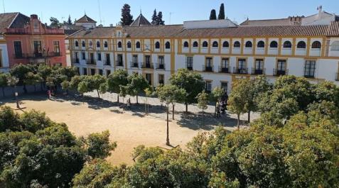 Patio de Banderas de Sevilla Patio de Banderas de Sevilla