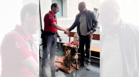 Momento de la entrega del perro a su dueño Momento de la entrega del perro a su dueño