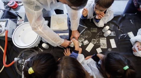 upna Noche Europea de los Investigadores e Investigadoras upna Noche Europea de los Investigadores e Investigadoras