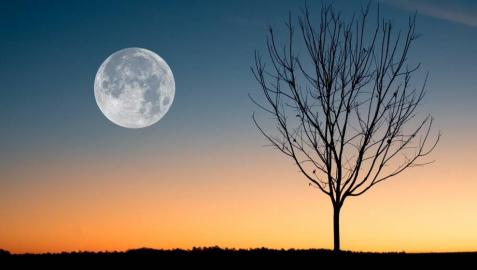 Imagen de la Luna llena de septiembre