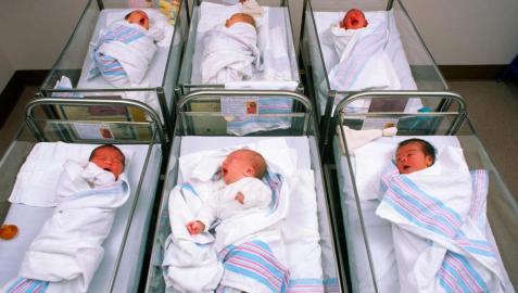 Bebés recién nacidos en sus cunas