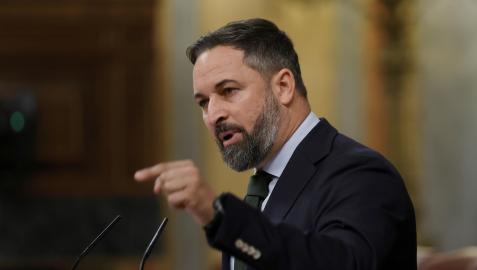 Santiago Abascal durante su intervención en el Congreso este miércoles