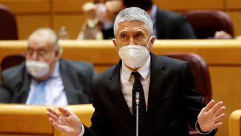 El ministro del Interior, Fernando Grande Marlaska, durante la sesión de control al Gobierno celebrada por el pleno del Senado El ministro del Interior, Fernando Grande Marlaska, durante la sesión de control al Gobierno celebrada por el pleno del Senado