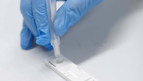 Una sanitaria realiza un test de antígenos en un centro de salud de Pamplona Una sanitaria realiza un test de antígenos en un centro de salud de Pamplona