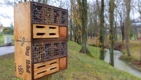 Uno de los hoteles para insectos instalados Uno de los hoteles para insectos instalados