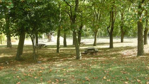 La conocida como playa de Oricáin, en la ribera del río Ultzama a su paso por esta localidad, contará a finales de octubre con una nueva zona recreativa infantil.
