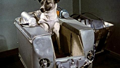 56 años del lanzamiento de Laika al espacio