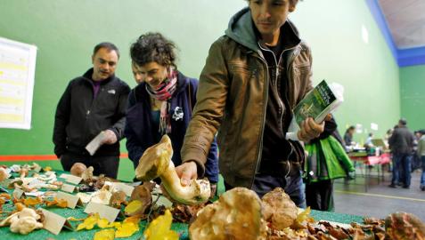 Larraintzar acoge la III Semana Micológica de Ultzama