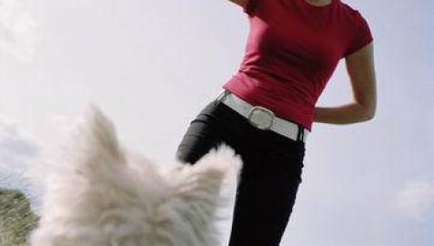 Se estrena DogTv, un canal de televisión dirigido a los perros