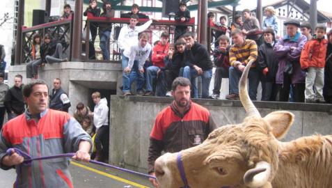 Un hombre sostiene a una res en una de las ediciones pasadas de la feria de Lesaka.