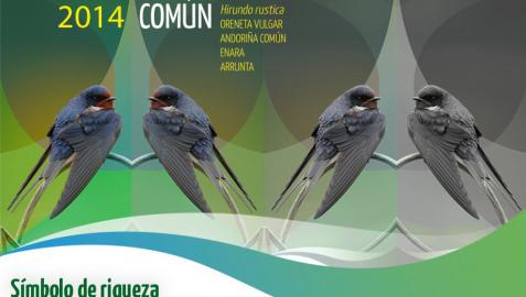 La golondrina común se convierte en Ave del Año 2014