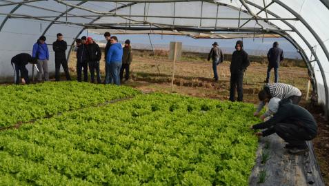 Agricultores en una jornada técnica celebrada el año pasado en un invernadero de Sartaguda.